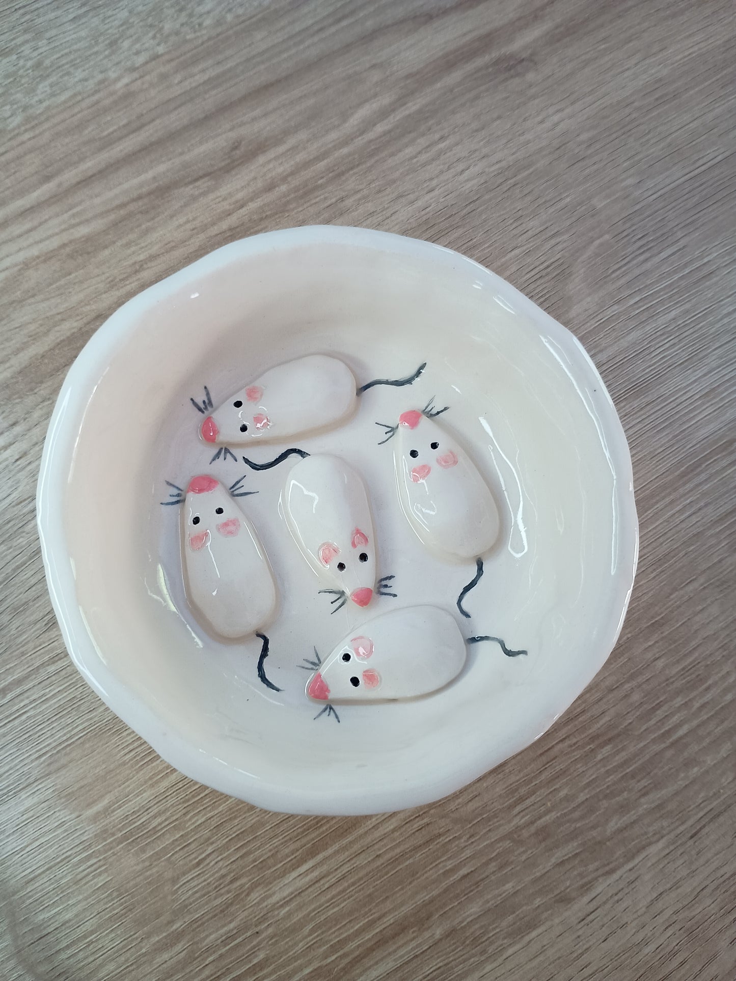 Gamelle anti-glouton pour chat