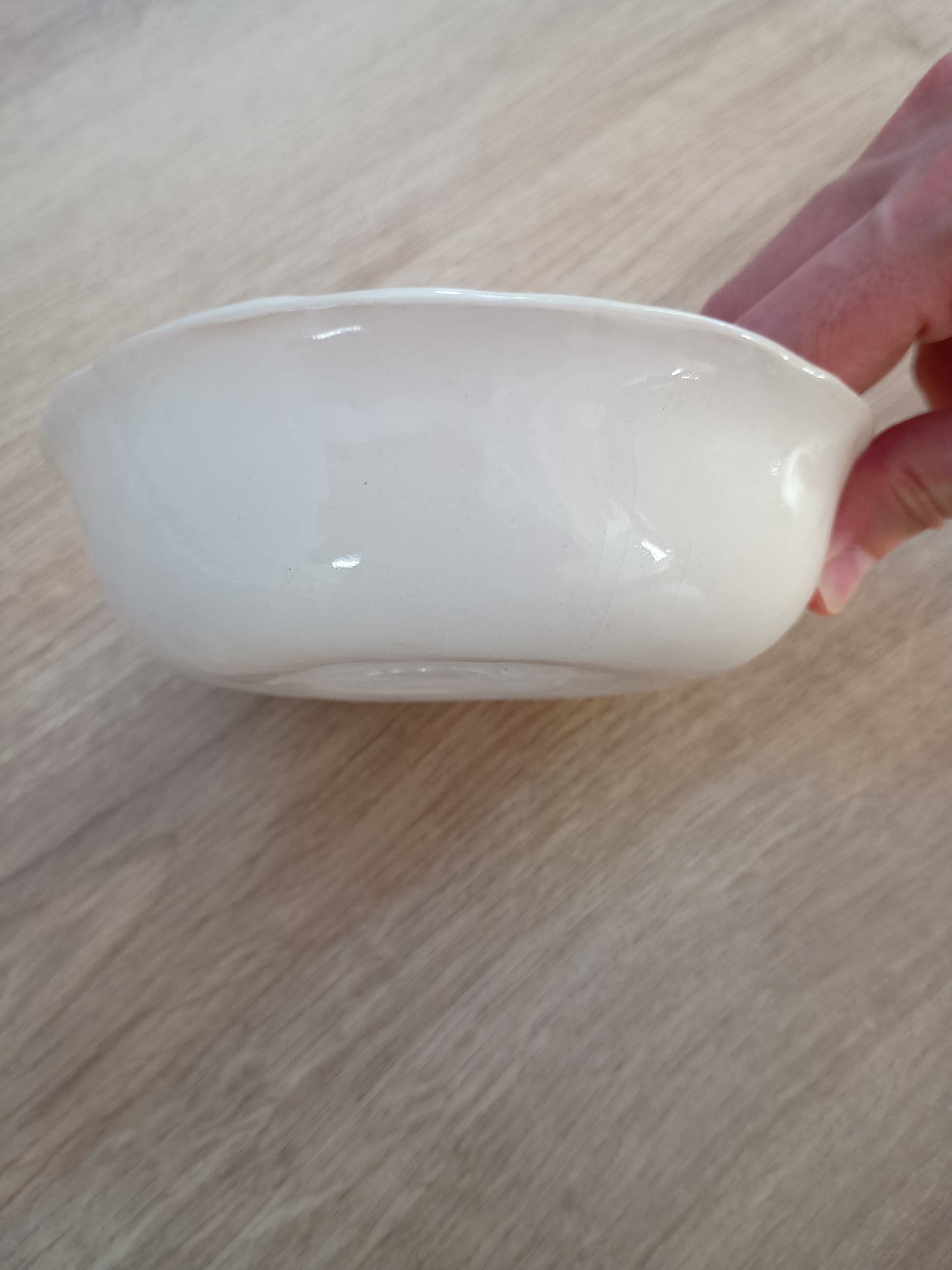 Gamelle anti-glouton pour chat